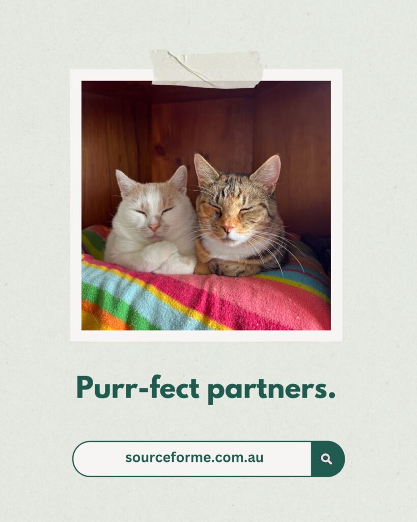 20250415-purrfect-partners-source-for-me-carmen-vitnell-1080-1350
